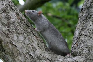 291011-poka_035_m.jpg 291011-poka_035_m.jpg