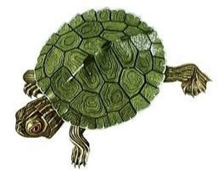 col2061_m.jpg col2061_m.jpg