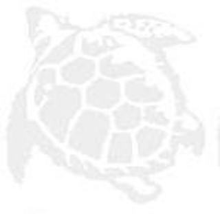 seaturtle_m.jpg seaturtle_m.jpg