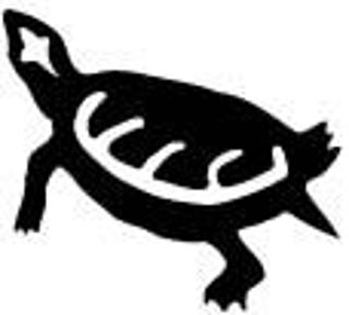 turtle26_m.jpg turtle26_m.jpg