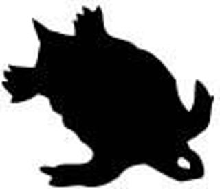 turtle27_m.jpg turtle27_m.jpg