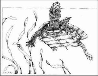 turtle47_m.jpg turtle47_m.jpg