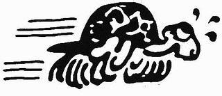 turtle50_m.jpg turtle50_m.jpg