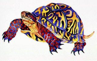 p_turtle_m.jpg p_turtle_m.jpg