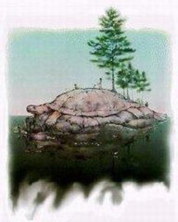 turtleisland1_m.jpg turtleisland1_m.jpg