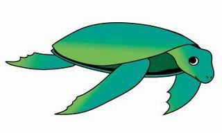 sea_turtle2_m.jpg sea_turtle2_m.jpg